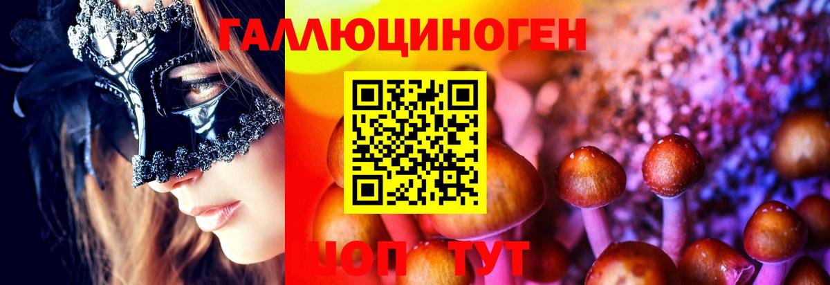 Галлюциногенные грибы Cubensis  Вход с VPN  Ачхой-Мартан 