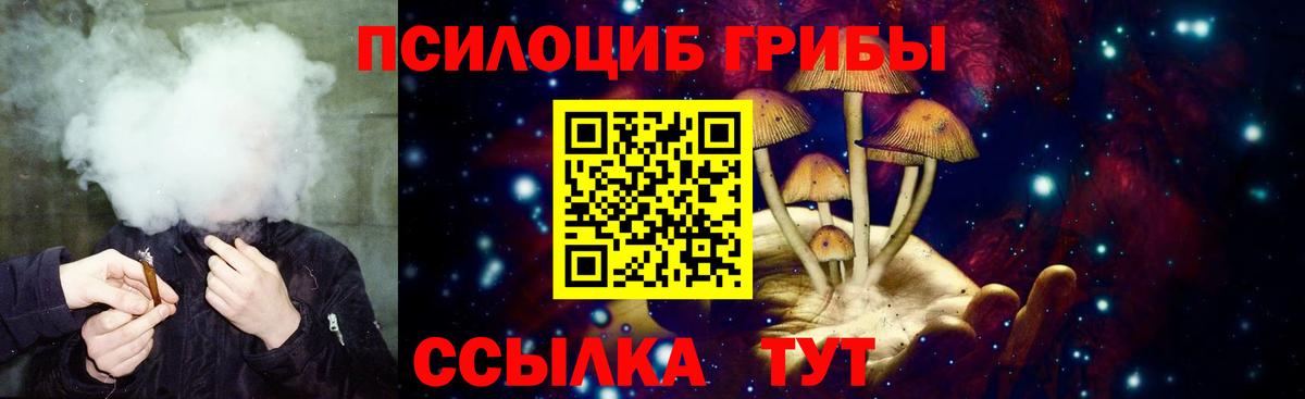 Псилоцибиновые грибы мицелий Ачхой-Мартан
